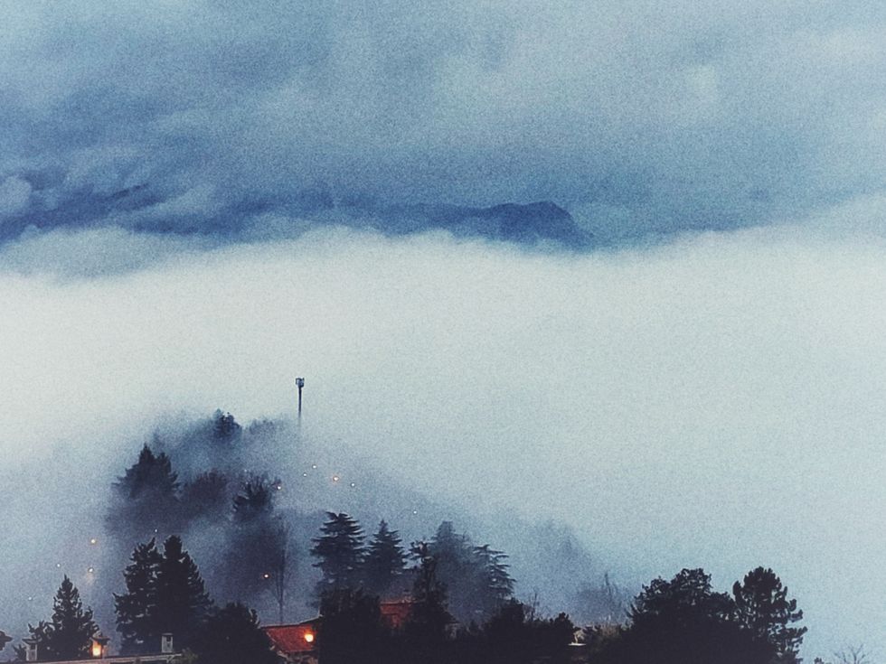 Blue grey fog covering a landscape with dark trees and small lights below